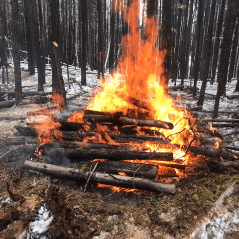 Prescribed burn to spark near Kimberley