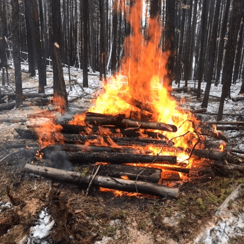 Wildfire risk reduction work to go ahead west of Invermere