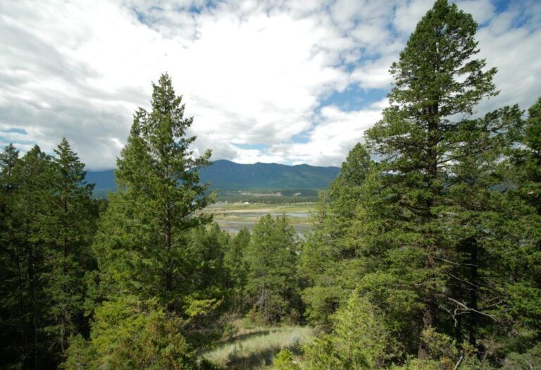 Almost 67 hectares of land near Fairmont Hot Springs purchased for conservation