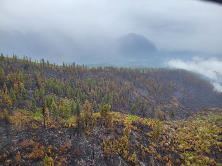 Large fire by Radium being held
