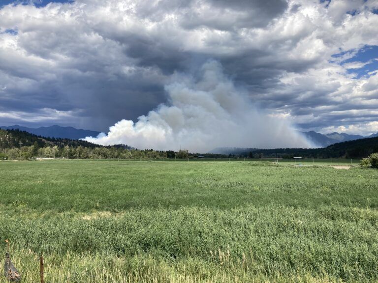 St. Mary Wildfire at 800 hectares, Rank 4 fire behaviour observed