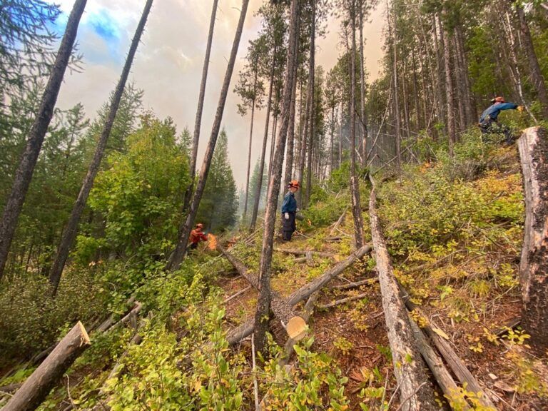 Area restrictions lifted from two local wildfires