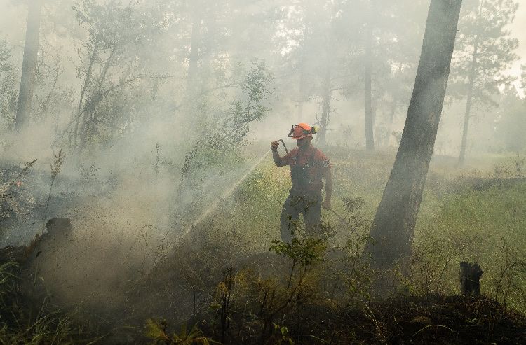 Province launching dedicated wildfire training and education centre