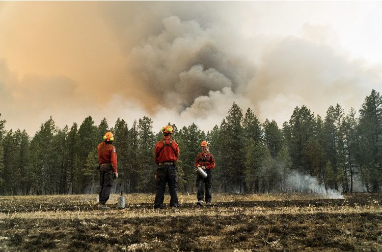 Disaster financial assistance opened for communities affected by wildfires