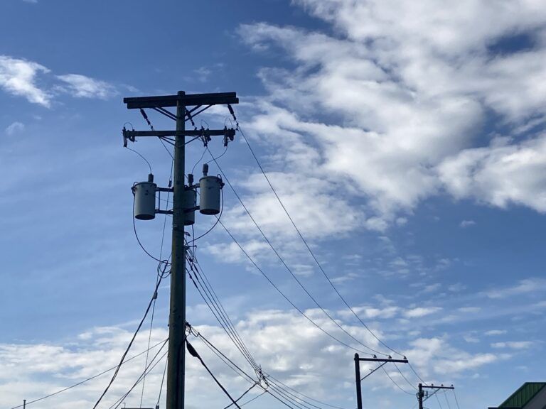 BC Hydro says drought-weakened trees can worsen storm impacts
