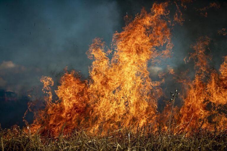 RESCINDED Kikomun Wildfire triggers evacuation order and alerts