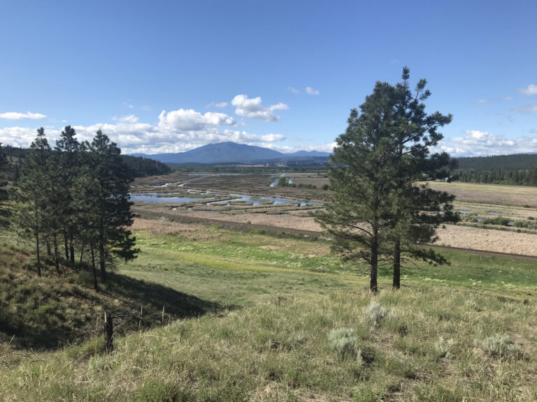 Conservation groups gearing up for wetland restoration project