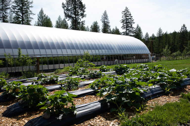 CBT to support local food growers adapting to climate change
