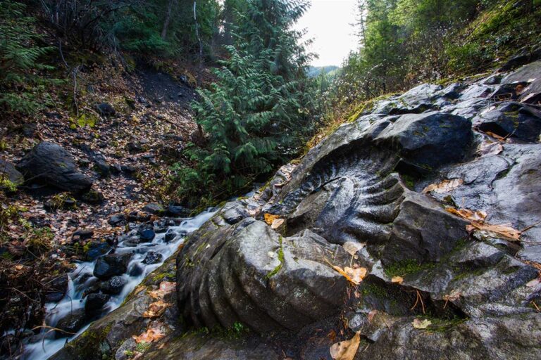 Film crew looking to showcase Canada’s natural history through documentary series