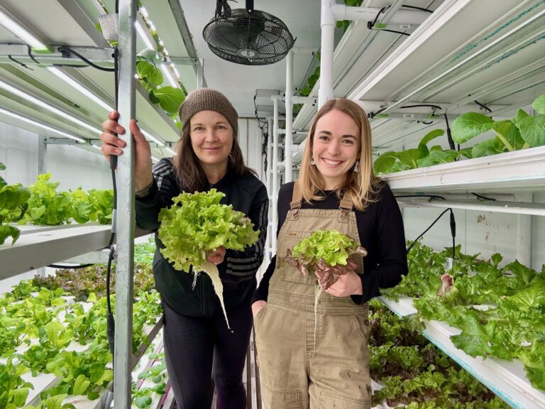Fernie hydroponics farm to open in spring