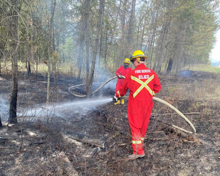 Jaffray and Elko firefighters take down two spot fires