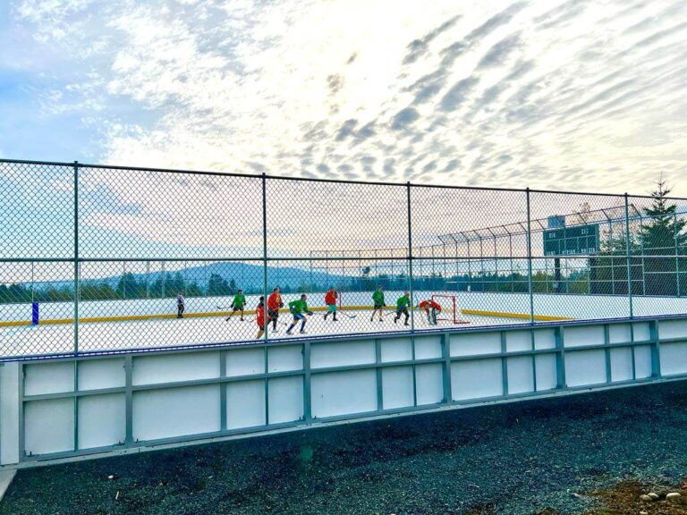 B.C. ball hockey association suspended by national governing body