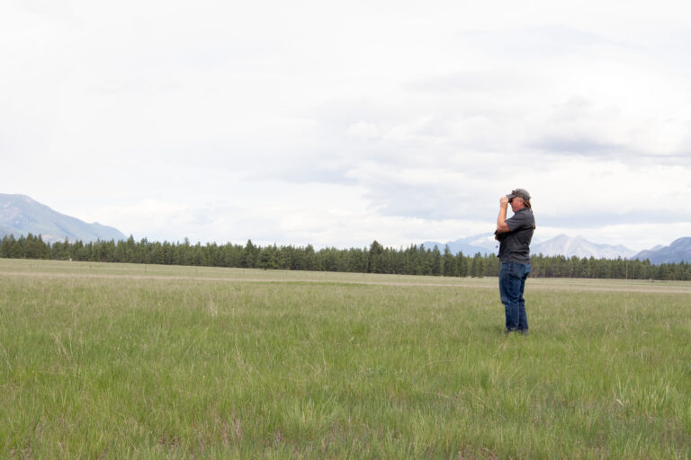 Nature Conservancy of Canada preserves more East Kootenay grasslands