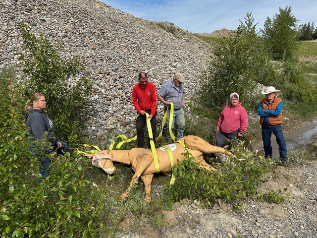 Local first responders take up Livestock Emergency Response Course