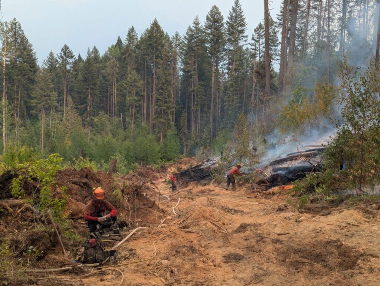 East Kootenay wildfire update Thursday, Aug. 1