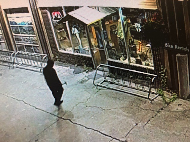 Elk Valley RCMP investigating Fernie business break-in