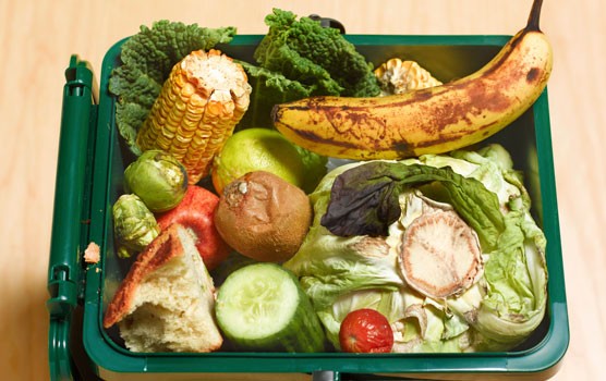 Fernie to deliver bins ahead of curbside organic collection