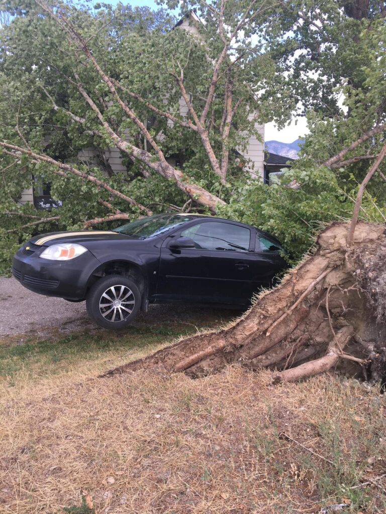 Invermere recovers after wind storm thrashing