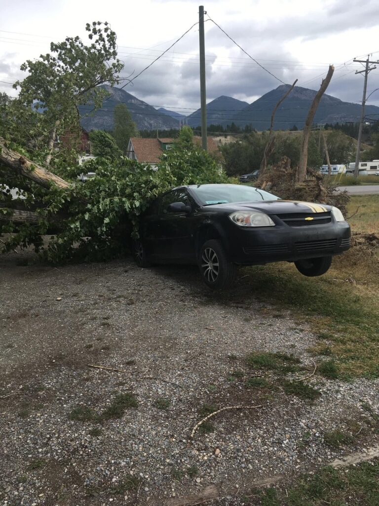 Province denies RDEK’s Disaster Financial Assistance request for windstorm damage