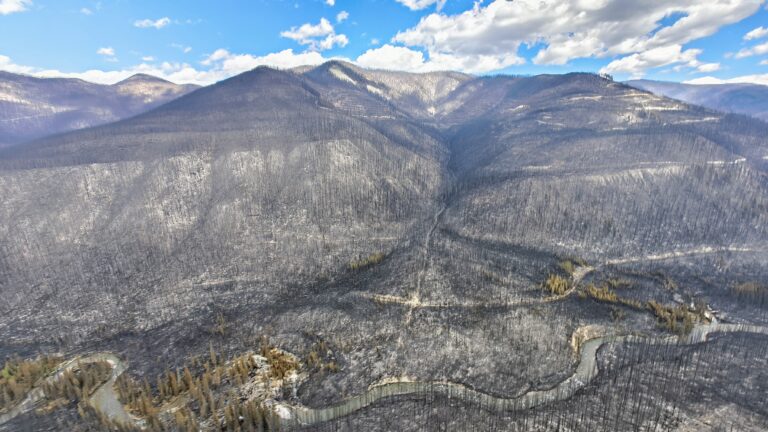 RDEK turns down AI wildfire detection pilot project