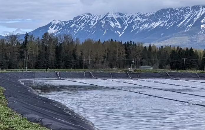Fernie to extend wastewater treatment system assessment