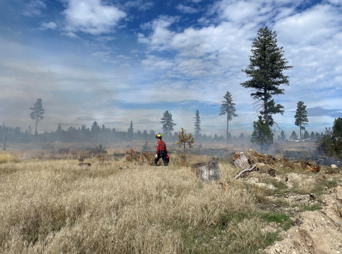 Cranbrook fire chief happy with completed prescribed burns