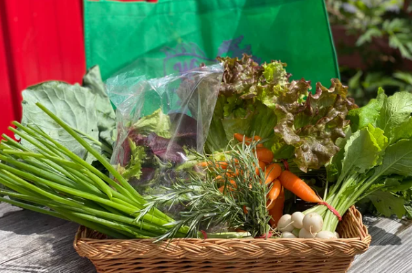 Raising a glass and fork to producers on Canada’s Agriculture Day