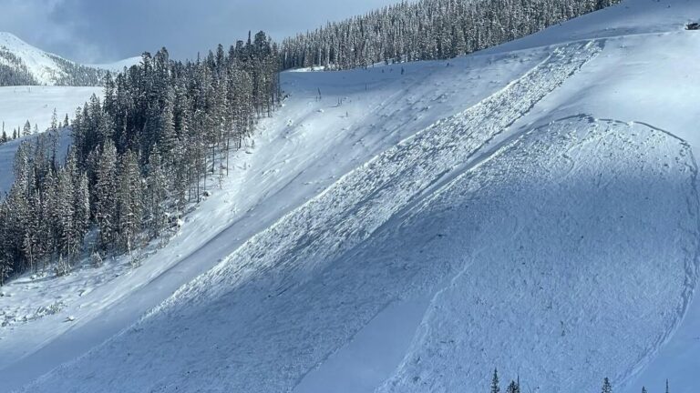 Snowmobiler rescued from Pedley Pass avalanche