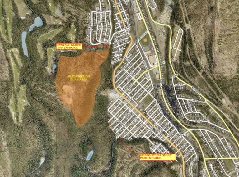 Cancelled prescribed burn now set for Saturday